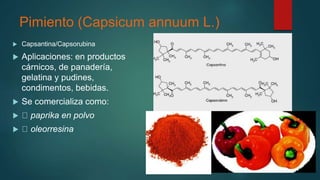 Pimiento (Capsicum annuum L.)
 Capsantina/Capsorubina
 Aplicaciones: en productos
cárnicos, de panadería,
gelatina y pudines,
condimentos, bebidas.
 Se comercializa como:
 paprika en polvo
 oleorresina
 