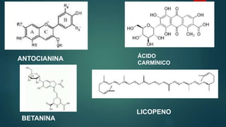 ANTOCIANINA ÁCIDO
CARMÍNICO
BETANINA
LICOPENO
 