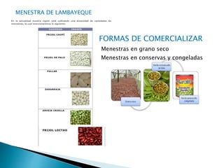 MENESTRA DE LAMBAYEQUE 
FORMAS DE COMERCIALIZAR 
Menestras en grano seco 
Menestras en conservas y congeladas 
 