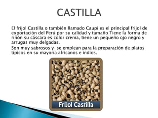 El frijol Castilla o también llamado Caupí es el principal frijol de 
exportación del Perú por su calidad y tamaño Tiene la forma de 
riñón su cáscara es color crema, tiene un pequeño ojo negro y 
arrugas muy delgadas. 
Son muy sabrosos y se emplean para la preparación de platos 
típicos en su mayoría africanos e indios. 
 