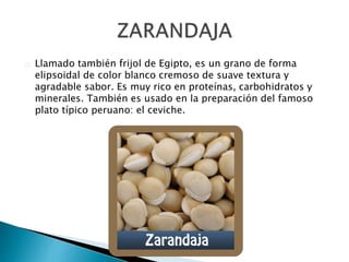 Llamado también frijol de Egipto, es un grano de forma 
elipsoidal de color blanco cremoso de suave textura y 
agradable sabor. Es muy rico en proteínas, carbohidratos y 
minerales. También es usado en la preparación del famoso 
plato típico peruano: el ceviche. 
 