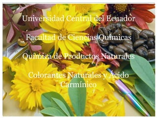 Universidad Central del Ecuador

 Facultad de Ciencias Químicas

Química de Productos Naturales

 Colorantes Naturales y Ácido
         Carmínico
 