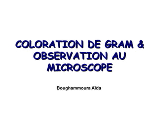 COLORATION DE GRAM &
   OBSERVATION AU
     MICROSCOPE
      Boughammoura Aïda
 