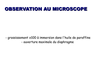OBSERVATION AU MICROSCOPE




- grossissement x100 à immersion dans l'huile de paraffine
           - ouverture maximale du diaphragme
 