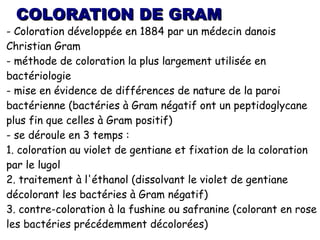COLORATION DE GRAM
- Coloration développée en 1884 par un médecin danois
Christian Gram
- méthode de coloration la plus largement utilisée en
bactériologie
- mise en évidence de différences de nature de la paroi
bactérienne (bactéries à Gram négatif ont un peptidoglycane
plus fin que celles à Gram positif)
- se déroule en 3 temps :
1. coloration au violet de gentiane et fixation de la coloration
par le lugol
2. traitement à l'éthanol (dissolvant le violet de gentiane
décolorant les bactéries à Gram négatif)
3. contre-coloration à la fushine ou safranine (colorant en rose
les bactéries précédemment décolorées)
 