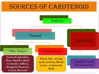 Coloration in Fishes ppt aqc full detail .pdf