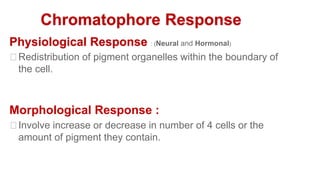 Chromatophore Response
Physiological Response : (Neural and Hormonal)
⮚Redistribution of pigment organelles within the boundary of
the cell.
Morphological Response :
⮚Involve increase or decrease in number of 4 cells or the
amount of pigment they contain.
 
