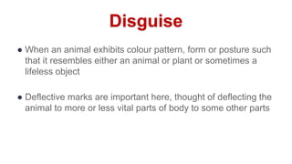 Disguise
● When an animal exhibits colour pattern, form or posture such
that it resembles either an animal or plant or sometimes a
lifeless object
● Deflective marks are important here, thought of deflecting the
animal to more or less vital parts of body to some other parts
 
