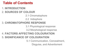 Table of Contents
1. INTRODUCTION
2. SOURCES OF COLOUR
2.1 Chromatophore
2.2 Iridiophore
3. CHROMATOPHORE RESPONSE
3.1 Physiological response
3.2 Morphological response
4. FACTORS AFFECTING COLOURATION
5. SIGNIFICANCE OF COLOURATION
5.1 Communication, Concealment,
Disguise, and Advertisment
 