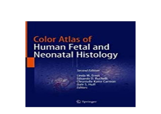 Download Free Download Ebook Library Color Atlas Of Human Fetal And Neonatal H