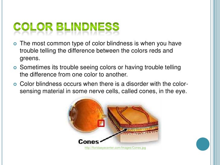 Color Blindness