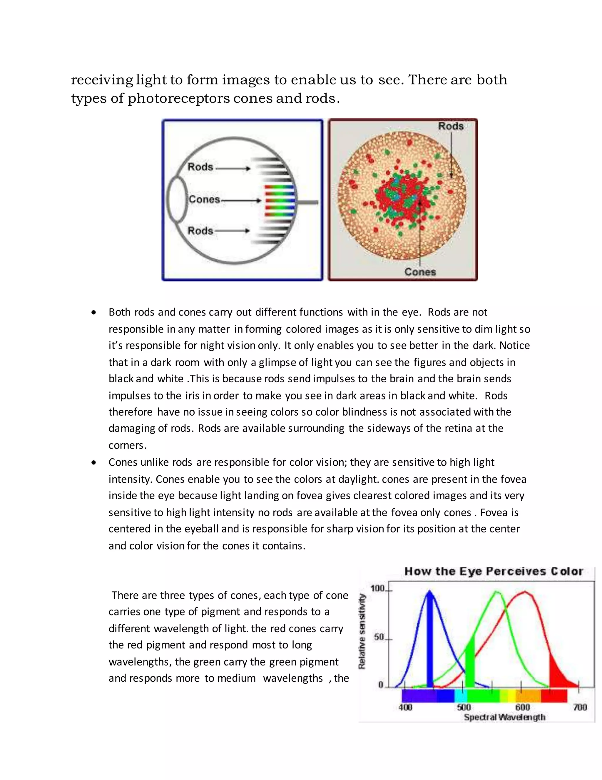 Eye Rods Color Table Color blindness | DOCX | Eye and Vision Conditions | Diseases and ...