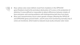 ● Blue-yellow color vision defects result from mutations in the OPN1SW
gene.Mutations lead to the premature destruction of S cones or the production of
defective S cones,difficult or impossible to detect differences between shades of
blue and green and causing problems with distinguishing dark blue from black.
● Blue cone monochromacy occurs when genetic changes affecting the OPN1LW
and OPN1MW genes prevent both L and M cones from functioning normally.only S
cones are functional, which leads to reduced visual acuity and poor color vision.
 