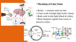 color blindness (color vision deficiency) | PPTX