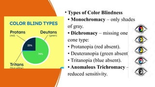 color blindness (color vision deficiency) | PPTX
