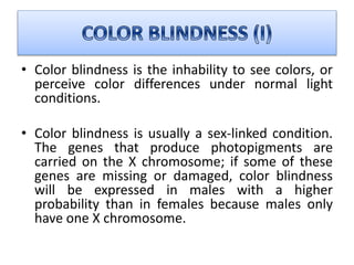 • Color blindness is the inhability to see colors, or
perceive color differences under normal light
conditions.
• Color blindness is usually a sex-linked condition.
The genes that produce photopigments are
carried on the X chromosome; if some of these
genes are missing or damaged, color blindness
will be expressed in males with a higher
probability than in females because males only
have one X chromosome.