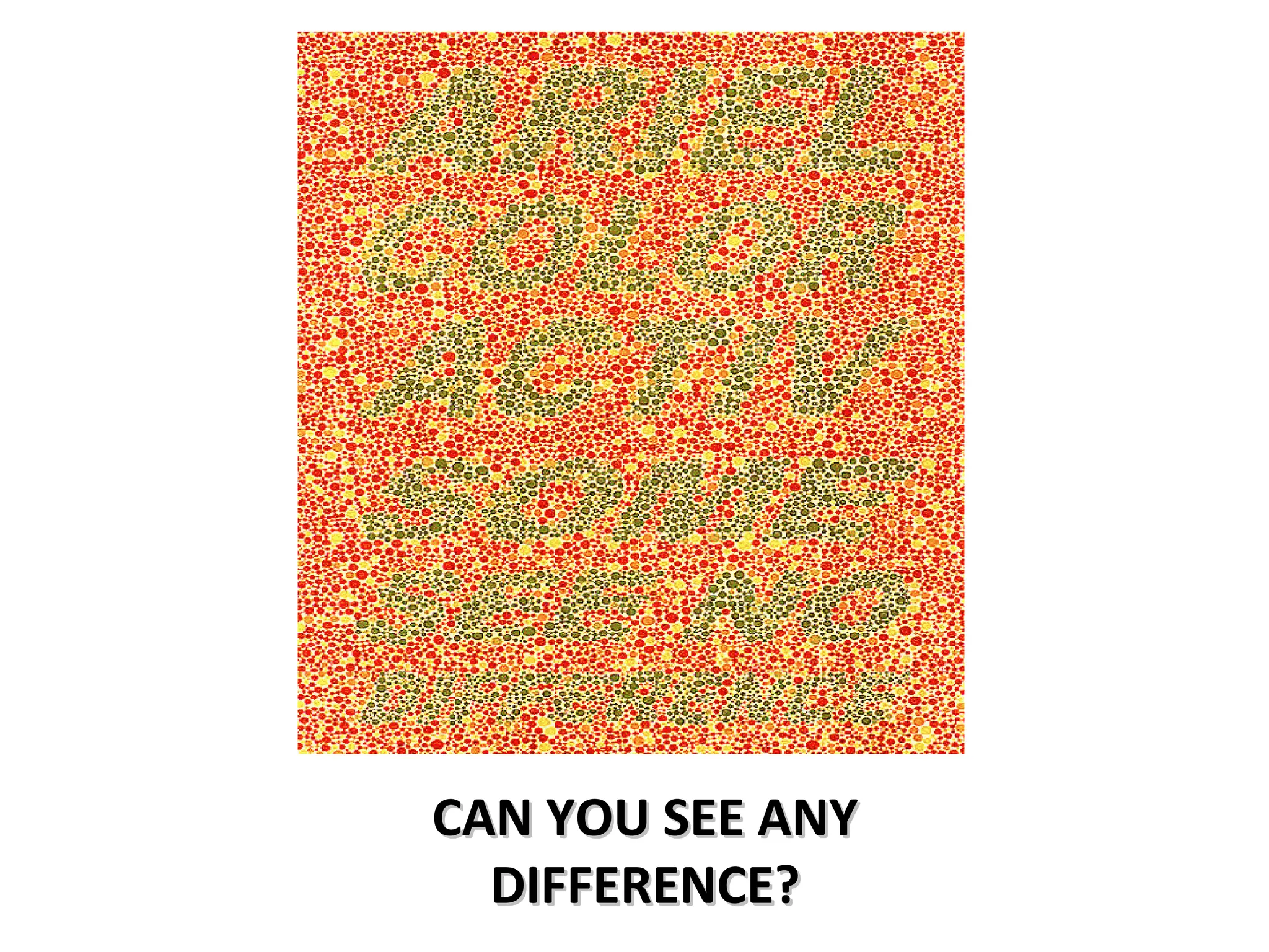 CAN YOU SEE ANY DIFFERENCE?