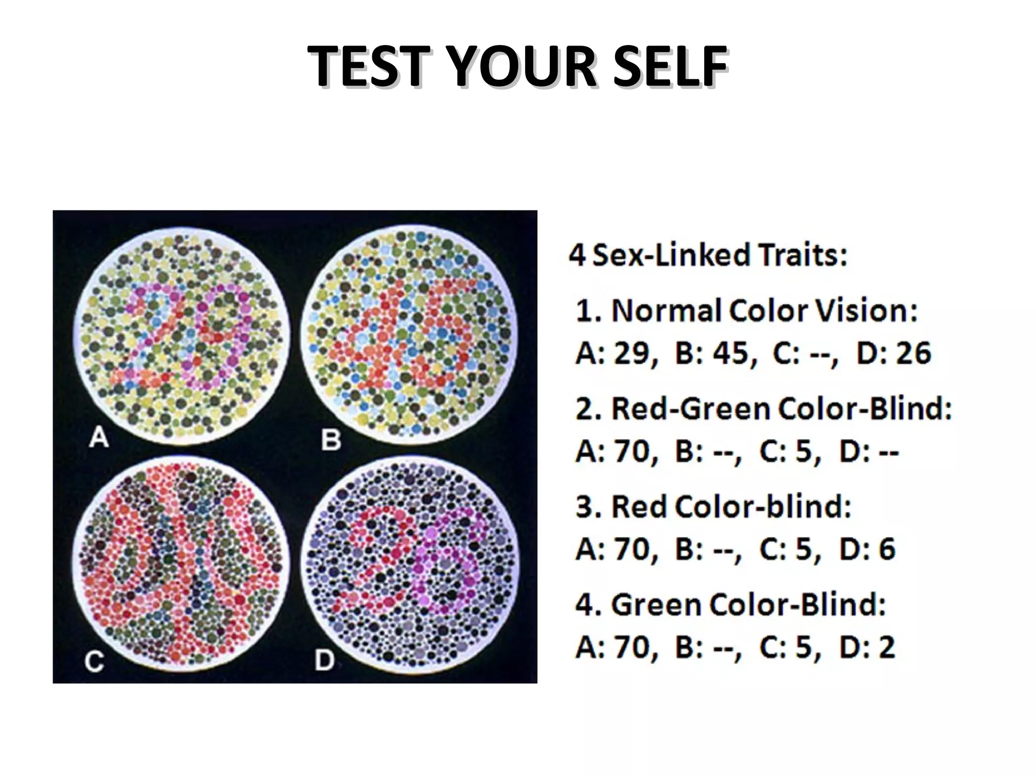 TEST YOUR SELF
