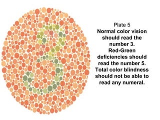 Colorblindtest | PPT