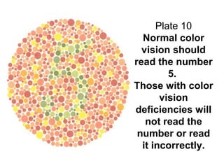 Colorblindtest | PPT