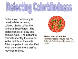 Colorblindtest | PPT