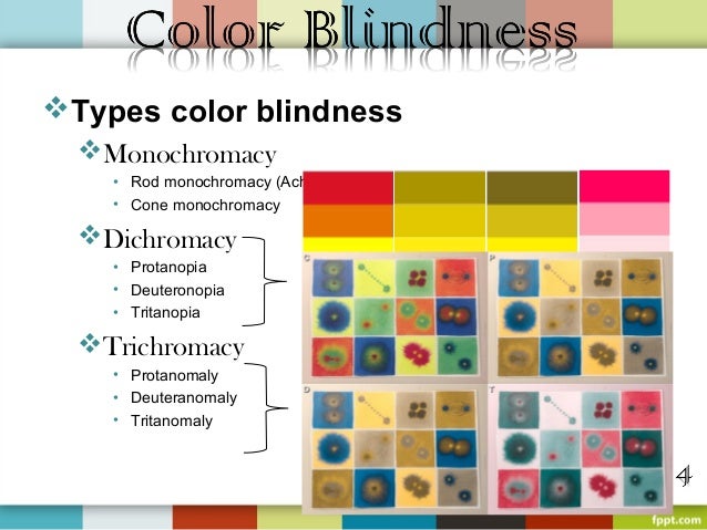 Color Blindness Types 28 Images You Ll Be Amazed How Coloring Wallpapers Download Free Images Wallpaper [coloring436.blogspot.com]