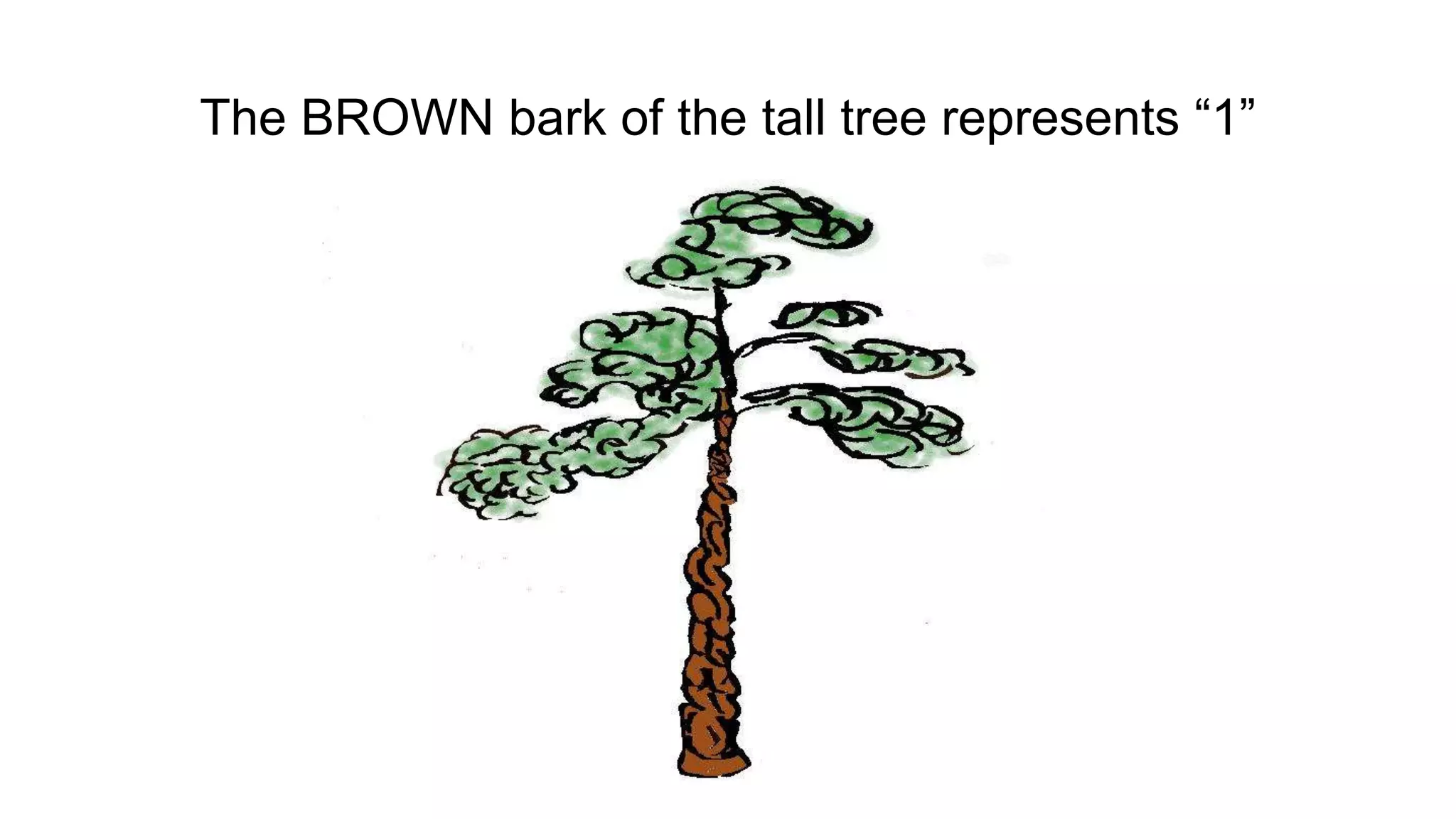The BROWN bark of the tall tree represents “1”