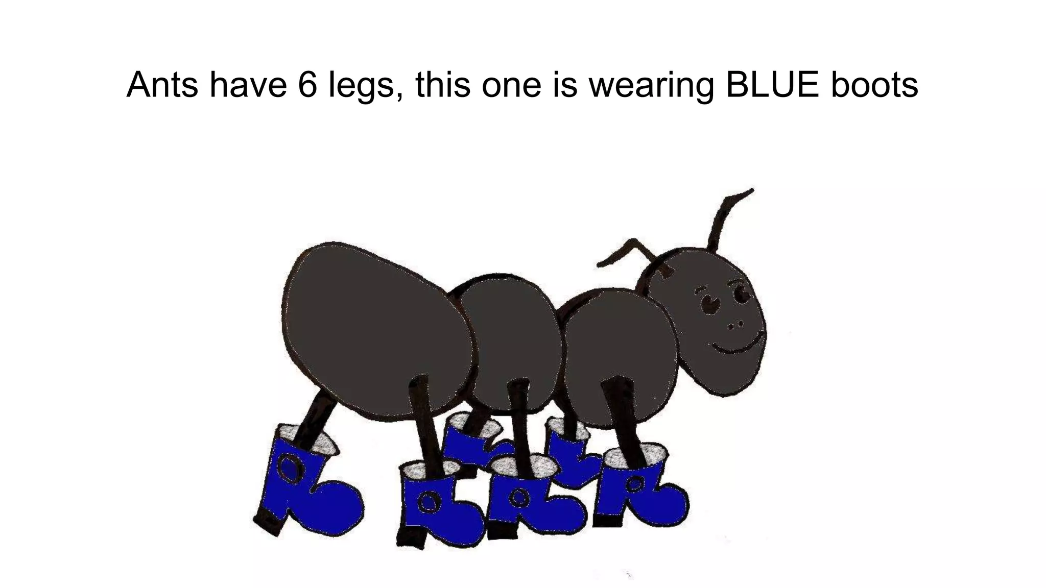Ants have 6 legs, this one is wearing BLUE boots