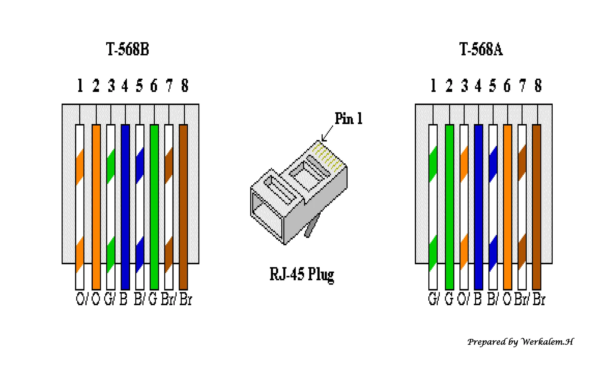 Prepared by Werkalem.H 