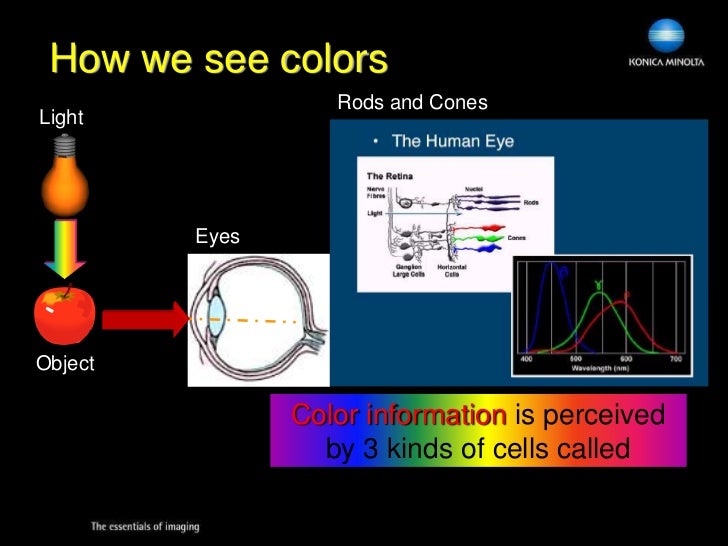 Color Control In Food U0026 Biotechnology Nsl