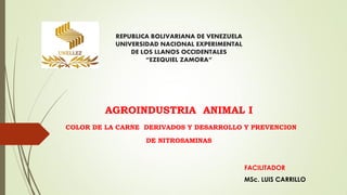 REPUBLICA BOLIVARIANA DE VENEZUELA
UNIVERSIDAD NACIONAL EXPERIMENTAL
DE LOS LLANOS OCCIDENTALES
“EZEQUIEL ZAMORA”
AGROINDUSTRIA ANIMAL I
COLOR DE LA CARNE DERIVADOS Y DESARROLLO Y PREVENCION
DE NITROSAMINAS
FACILITADOR
MSc. LUIS CARRILLO
 