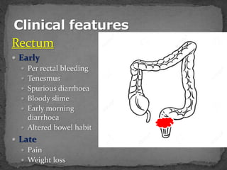 Rectum
 Early
 Per rectal bleeding
 Tenesmus
 Spurious diarrhoea
 Bloody slime
 Early morning
diarrhoea
 Altered bowel habit
 Late
 Pain
 Weight loss
 