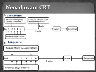 Short course
Long course
 
