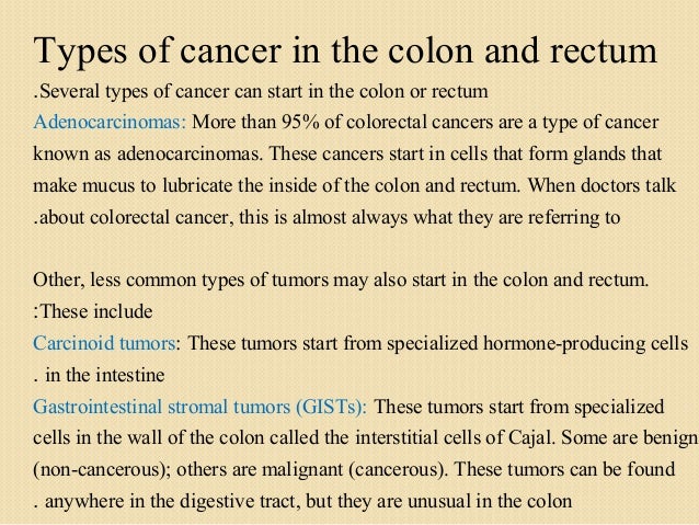 Anus colon edition neoplasms rectum second not agree Anus colon edition neoplasms rectum second advise you