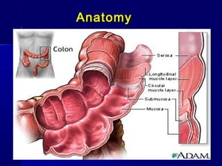 AnatomyAnatomy
 