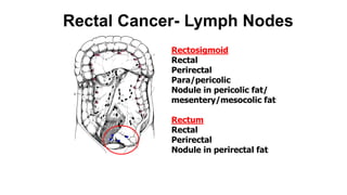 Colorectal carcinoma  anatomy to management