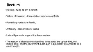 Colorectal carcinoma  anatomy to management