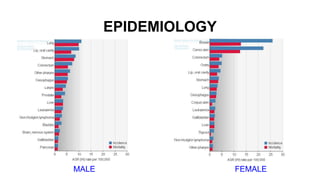 EPIDEMIOLOGY
MALE FEMALE
 