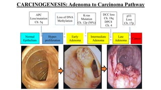Colorectal carcinoma  anatomy to management