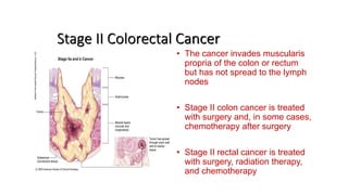 Colorectal carcinoma  anatomy to management
