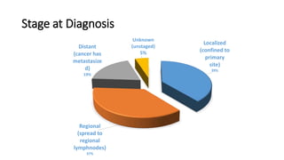 Colorectal carcinoma  anatomy to management
