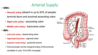 Colorectal carcinoma  anatomy to management