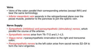 Colon Cancer- Lymph Nodes
All sites
Colic
Epicolic
Mesocolic
Para/pericolic
Nodule in fat/mesentery/
mesocolic fat
 