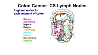 Colorectal carcinoma  anatomy to management