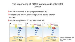 Colorectal carcinoma  anatomy to management