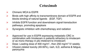 Cetuximab
 Chimeric MCA to EGFR
 Binds with high affinity to transmembrane domain of EGFR and
blocks binding of natural ligands (EGF, TGF)
 Inhibits EGFR function and downstream signal transduction
pathways, promoting apoptosis
 Synergistic inhibition with chemotherapy and radiation
 Approved for use in EGFR expressing metastatic CRC in
combination with Irinotecam in patients refractory to irinotecam
or as mono therapy in pts intolerant to irinotecam
 Dose: Loading dose of 400 mg/m2., then 250 mg/m2 IV weekly
 Infusion-related toxicity (40-50%), rash, ILD, asthenia & fatigue,
paronychia
 