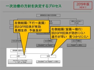 一次治療の方針を決定するプロセス
2019年版
NEW !!
左側結腸（下行〜直腸）
抗EGFR抗体が有効
長期生存 予後良好 右側結腸（盲腸〜横行）
抗EGFR抗体が効きにくい
進行が早い 見つかりにくい
 