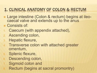 1. CLINICAL ANATOMY OF COLON & RECTUM
 Large intestine (Colon & rectum) begins at ileo-
caecal valve and extends up to the anus
 Consists of:
1. Caecum (with appendix attached),
2. Ascending colon,
3. Hepatic flexure,
4. Transverse colon with attached greater
omentum,
5. Splenic flexure,
6. Descending colon,
7. Sigmoid colon and
8. Rectum (begins at sacral promontry)
 