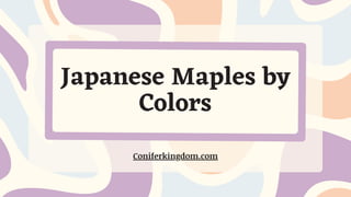 Japanese Maples by
Colors
Coniferkingdom.com
 