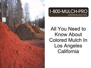 All You Need to Know About Colored Mulch In Los Angeles California Why use Mulch In Los Angeles California? Los Angeles California has the best Mulch.  Using mulch can benefit your garden and landscape. Los Angeles California is known for its beautiful mulched landscaped gardens. There are many different types of mulch in Los Angeles California. There is inorganic and organic mulch for your gardens and landscape.   Find the best mulch in Los Angeles California by calling 1-800-MULCH PRO.   
